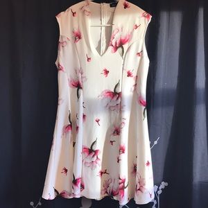 BRAND NEW... Top/Dress